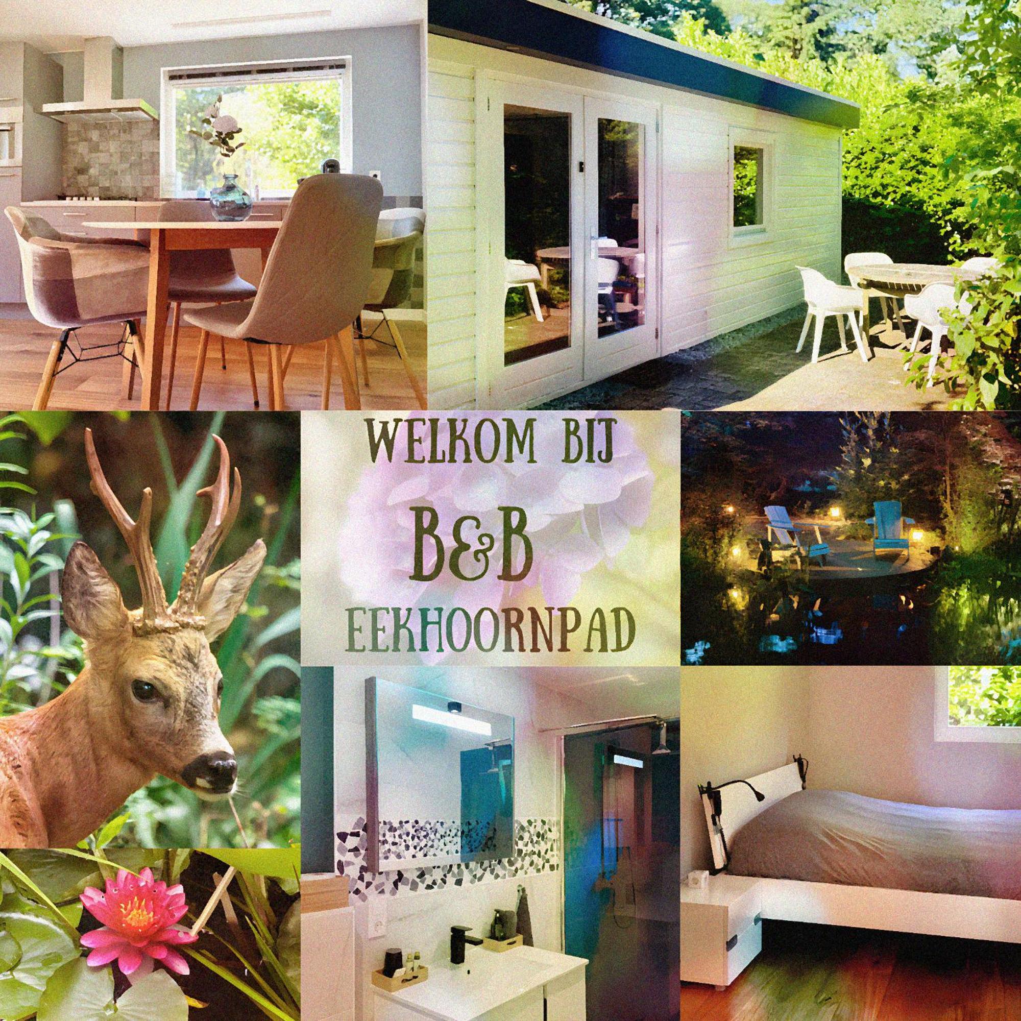 B&B Eekhoornpad Tilburg Exterior photo